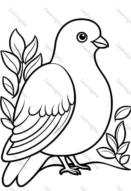 Simple Pigeon