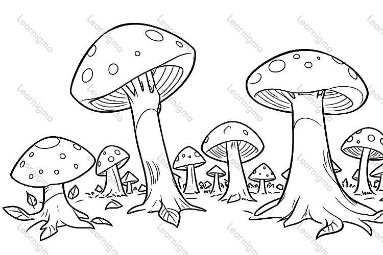 Mushrooms