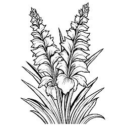 Gladiolus Flower