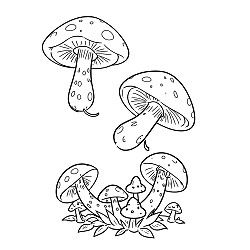 Mushrooms