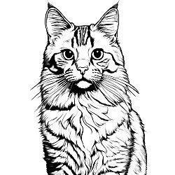 American Bobtail Cat Portrait