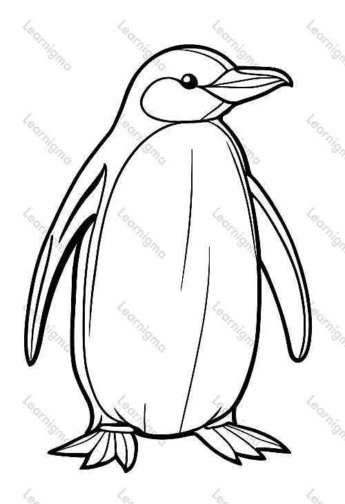 Penguin