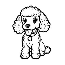 Poodle