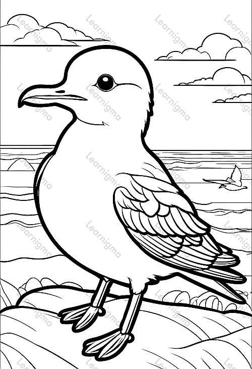 Seagull