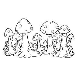 Mushrooms