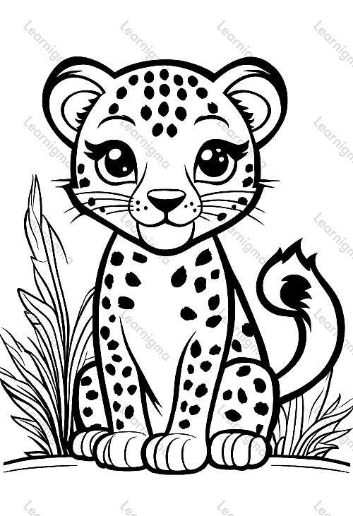 Leopard