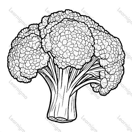 Broccoli