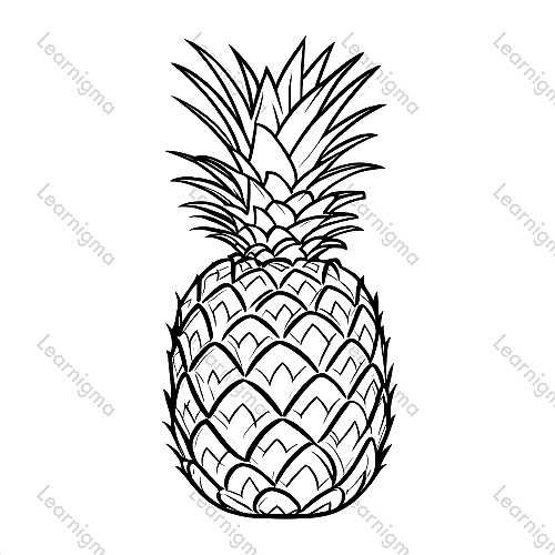 Pineapple