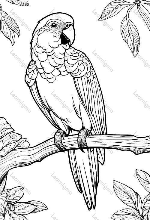 Parrot On A Branch