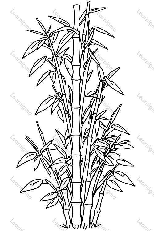 Bamboo Tree