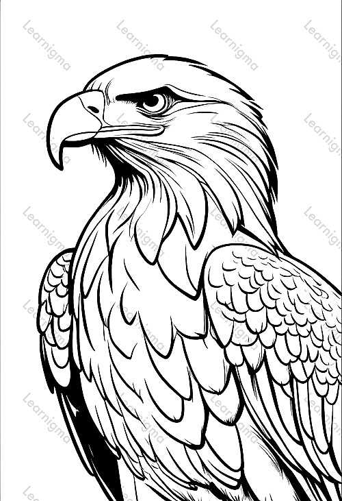 Eagle