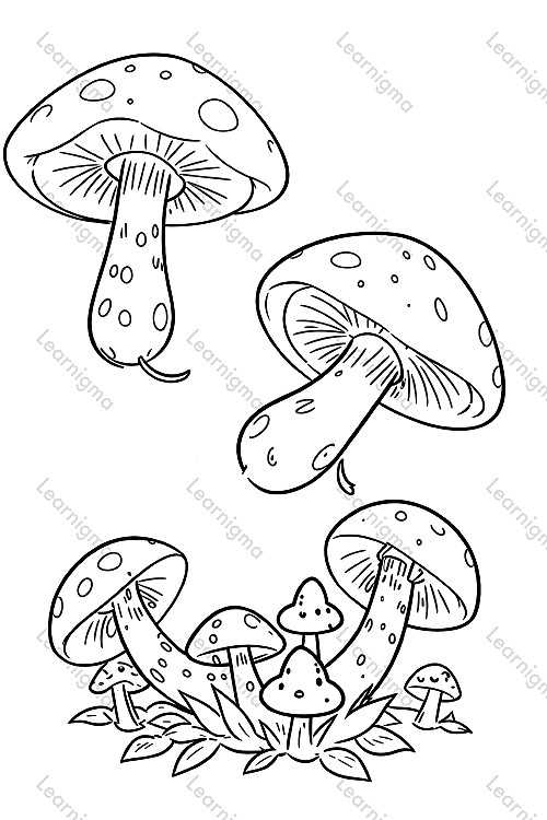 Mushrooms