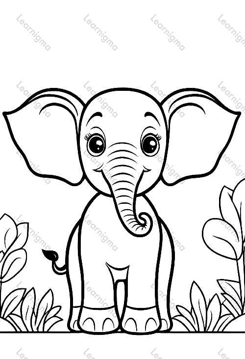 Little Elephant