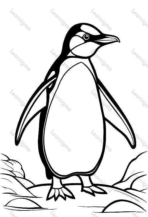 Penguin