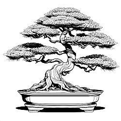 Bonsai Tree