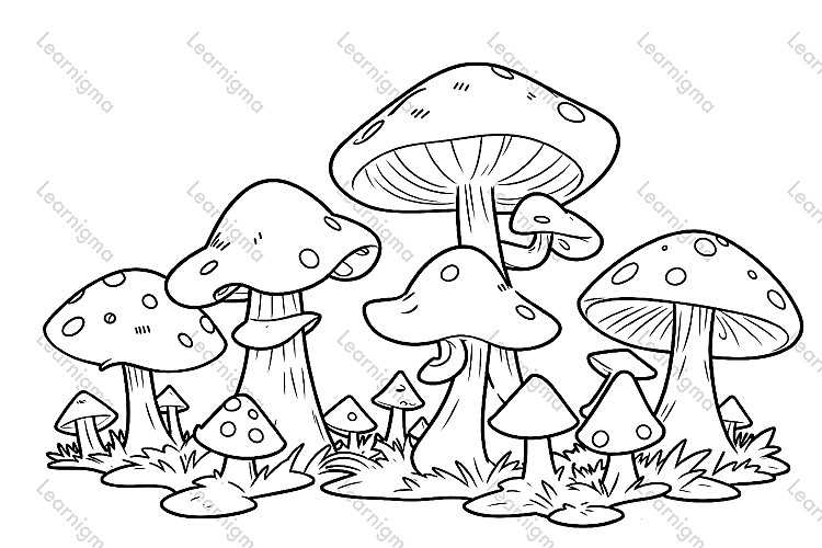 Mushrooms