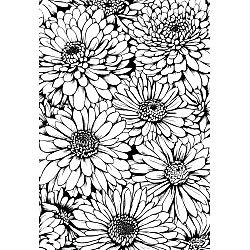 Chrysanthemum Flowers