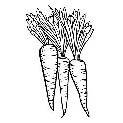 Carrots