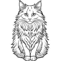 Norwegian Forest Cat Portrait