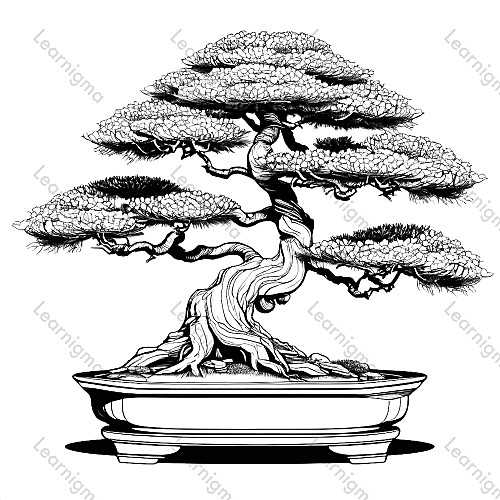 Bonsai Tree