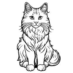 Norwegian Forest Cat Portrait