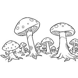 Mushrooms