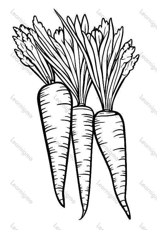 Carrots